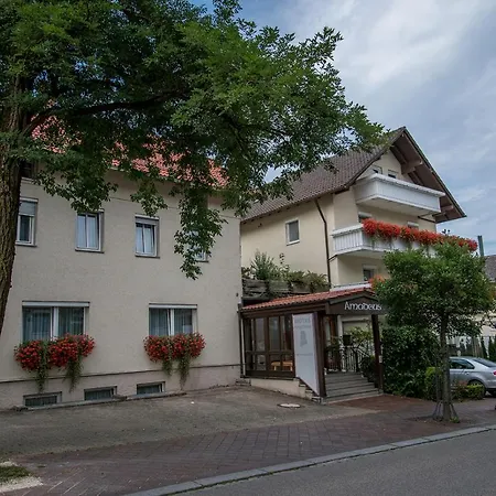 Amadeus Hostel *